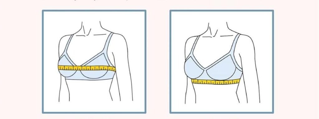 The Basics of Underwear Sizing