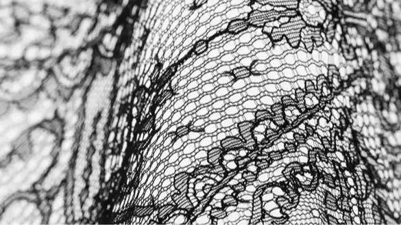 A type of lace fabric known as Leavers Lace.